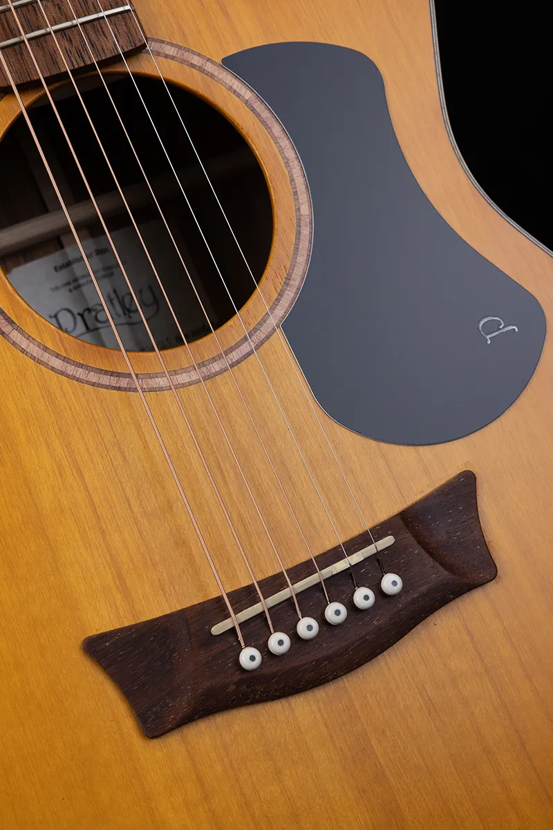 Premier Concert Model Blackwood B/S Fig Top SE
