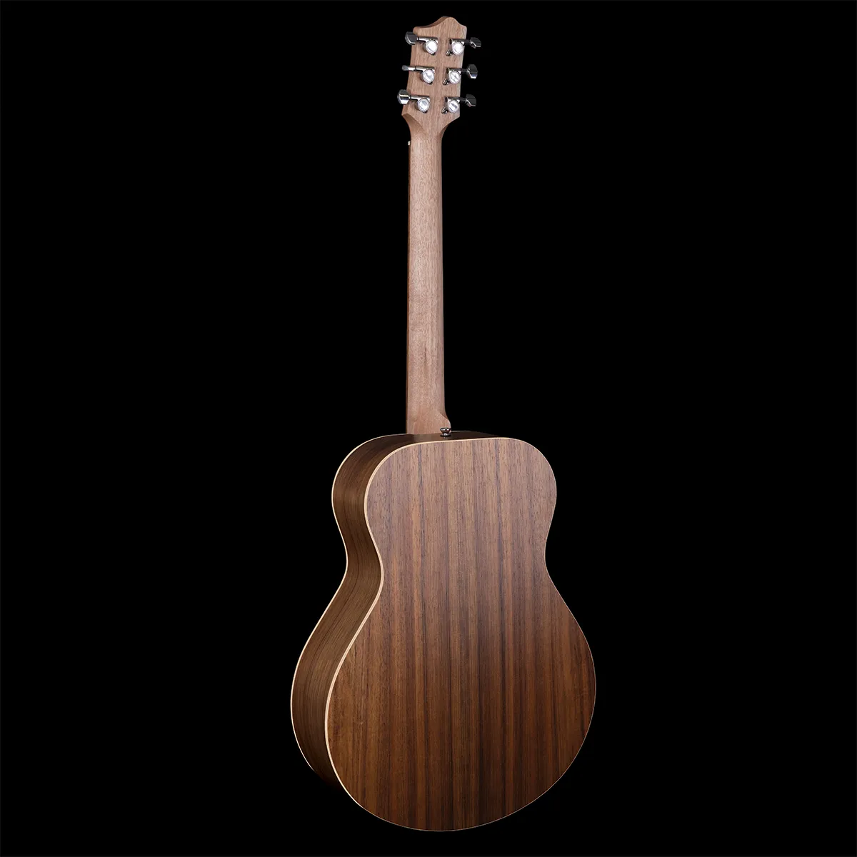 Premier Concert Model Blackwood B/S Fig Top SE