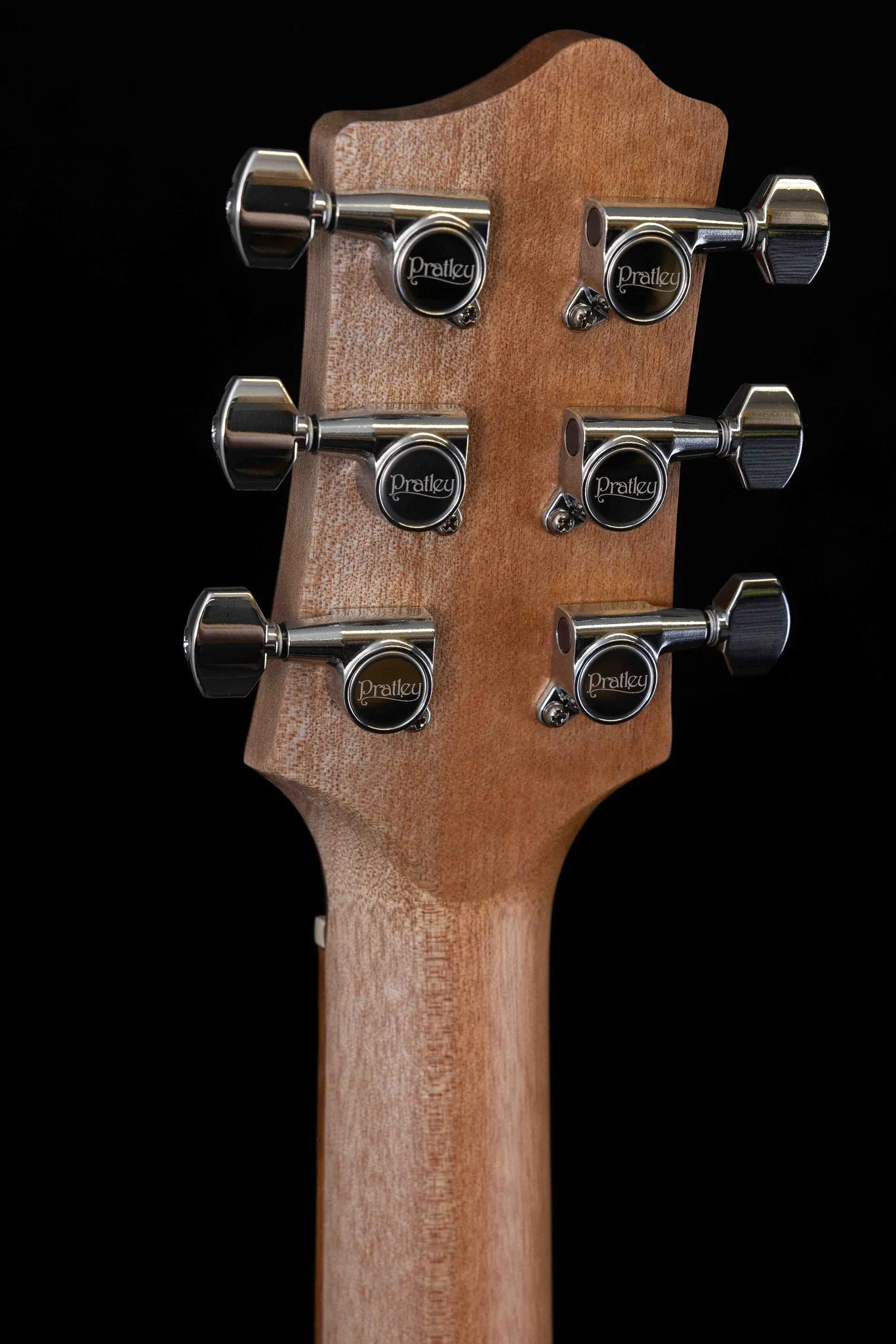 Premier Dreadnought Vintage Burst Blackwood SCE