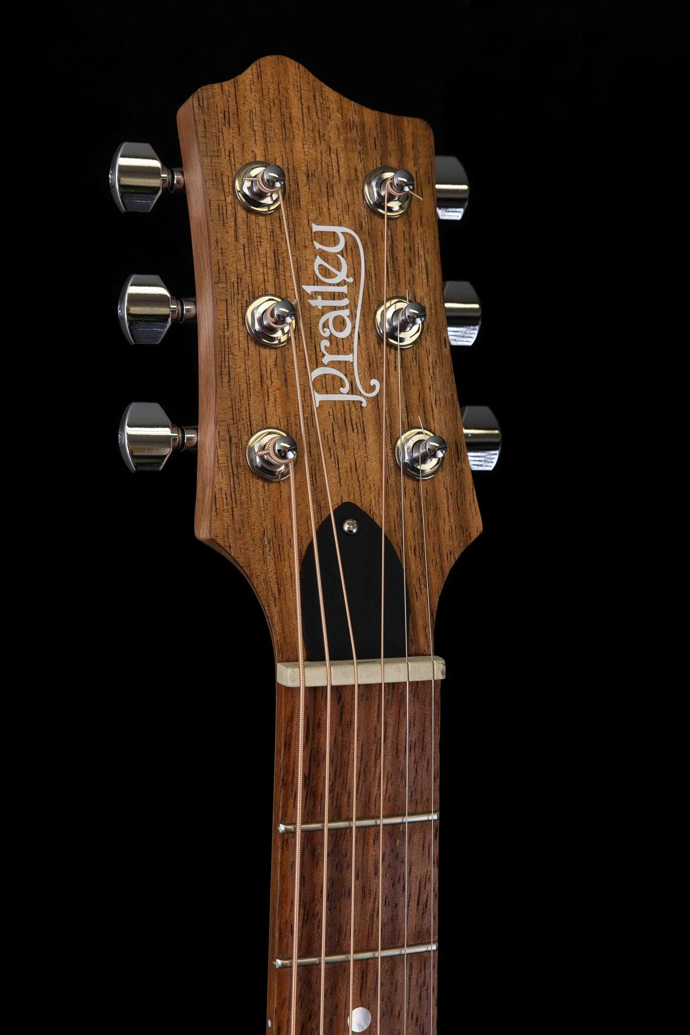 Premier Dreadnought Vintage Burst Blackwood SCE