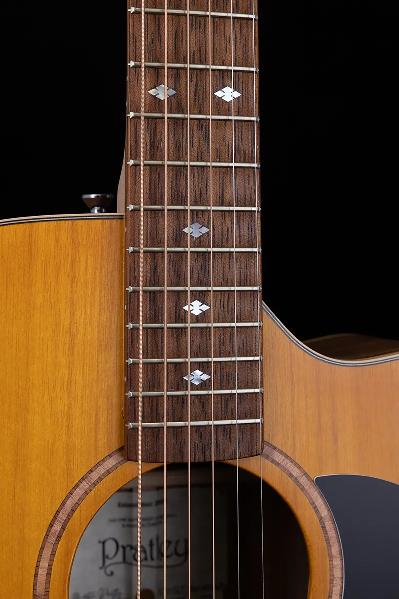 Premier Series Dreadnought Cutaway Model Maple B/S Fig Top