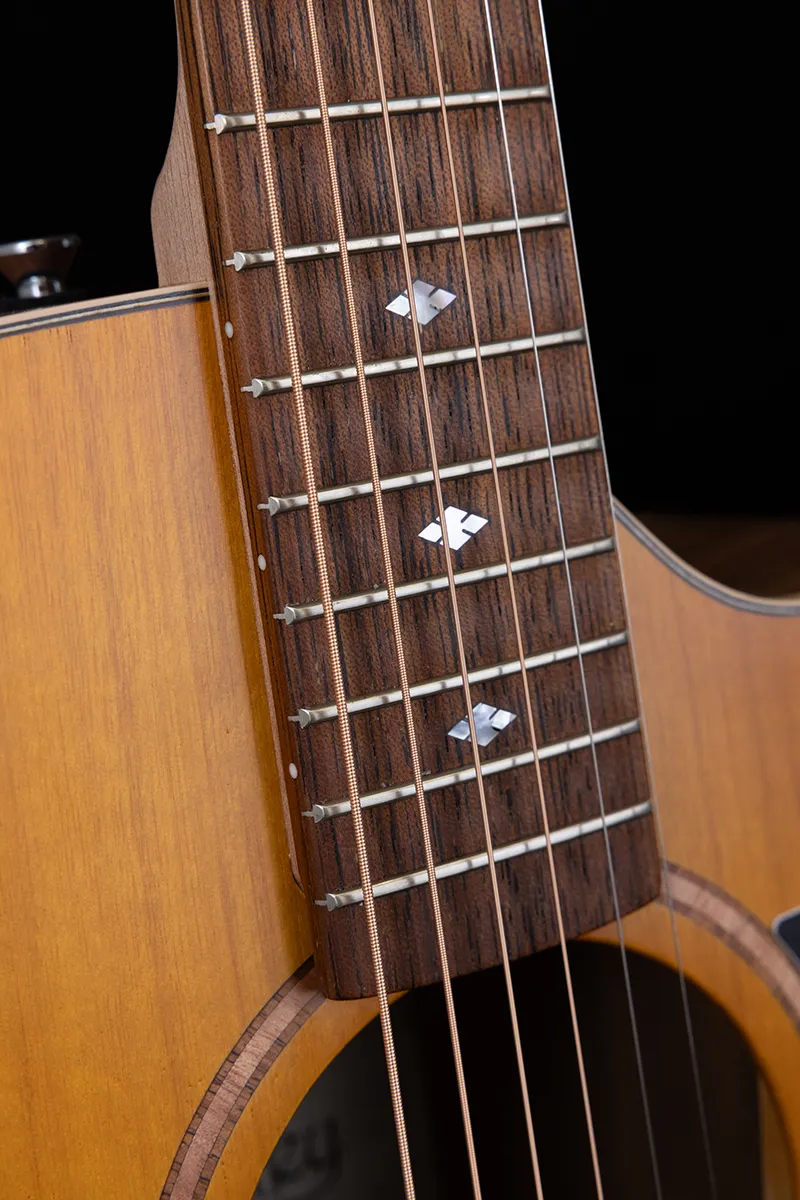 Premier Series Dreadnought Cutaway Model Maple B/S Fig Top